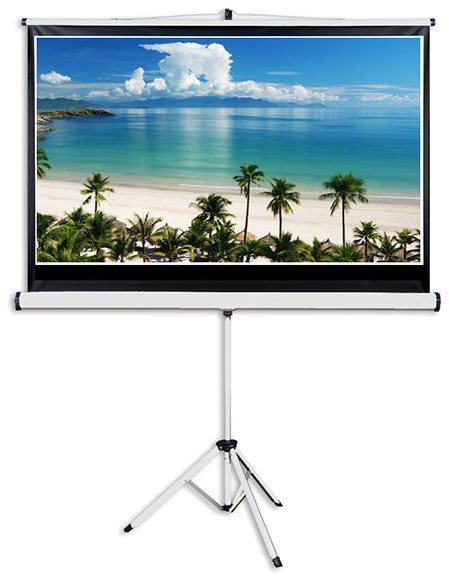 AVELI Mobile Leinwand mit Stativ - 204 cm x 115 cm (16:9)...