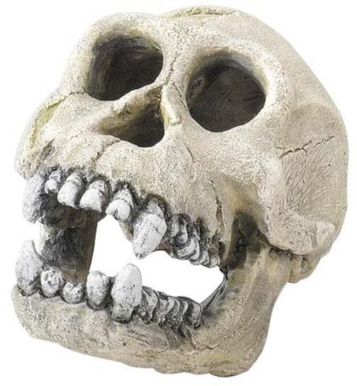 Ebi Decor Chimpanzee 16 cm Dekorácia do akvária
