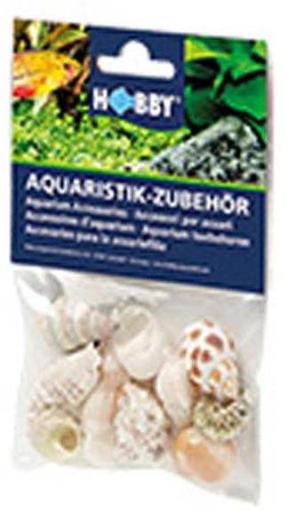 Hobby Sea Shells Set M 10 ks Dekorácia do akvária