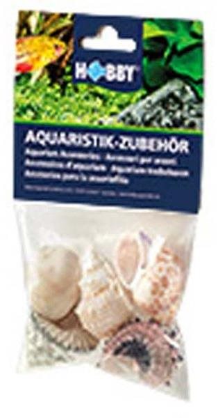 Hobby Sea Shells Set L 5 ks Dekorácia do akvária