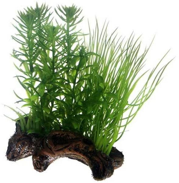 Hobby Rastliny na keramickom koreni do akvária 17 cm Dekorácia do...