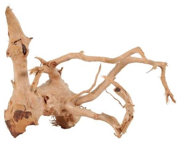 Zolux Spider root prírodné naplavené drevo 10 – 30 cm Dekorácia do...