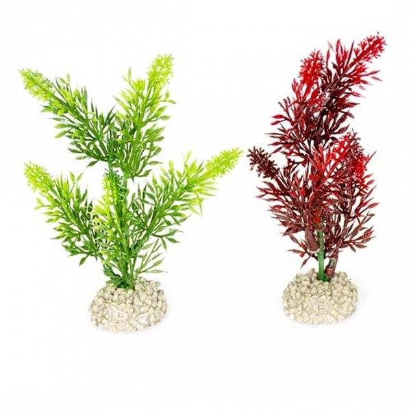 Ebi Aqua Della Elodea Densa červená alebo zelená 13 cm 1 ks...