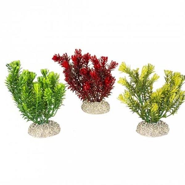 Ebi Aqua Della Canadensis mix farieb 13 cm 1 ks Dekorácia do akvária
