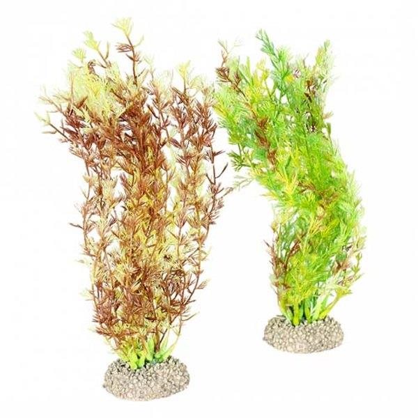 Ebi Aqua Della Egeria Densa M mix farieb 25 cm 1 ks Dekorácia do...