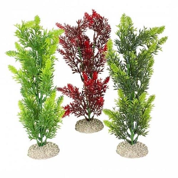 Ebi Aqua Della Elodea Densa M mix farieb 25 cm 1 ks Dekorácia do...
