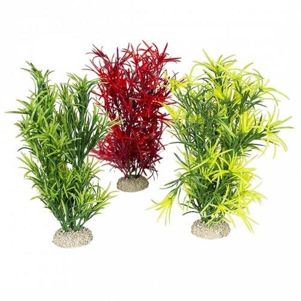 Ebi Aqua Della Hydrilla zelená, červená 27 cm 1 ks Dekorácia do...