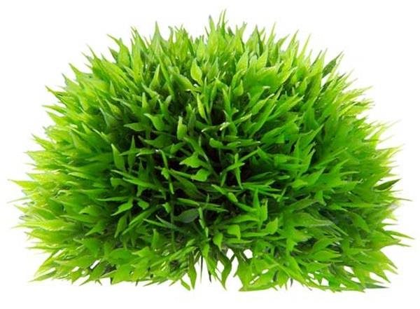 Hobby Plant Ball 18 cm Dekorácia do akvária