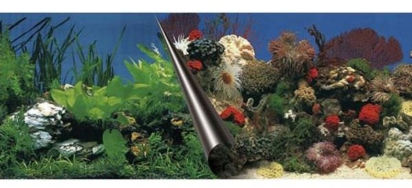 Ebi Photo Decor Stone Coral  80 × 40 cm Pozadie do akvária