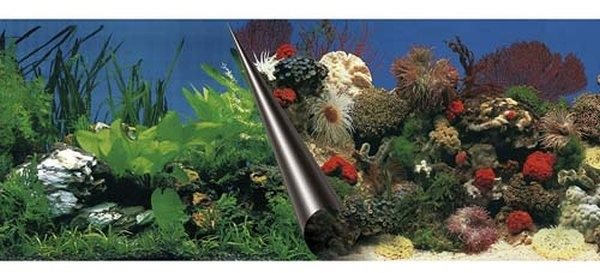 Ebi Photo Decor Stone Coral 120 × 50 cm Pozadie do akvária
