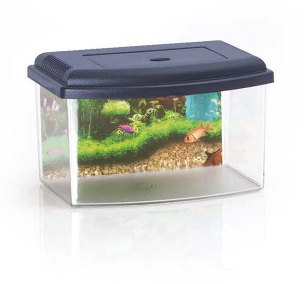 Cobbys Pet Akvárium plastové 2 s krytom a pozadím 5,5 l 28 × 20 ×...