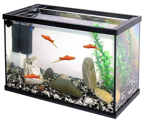 Pacific 40 akvárium s výbavou 20 l 40 × 20 × 25 cm Akváriový set