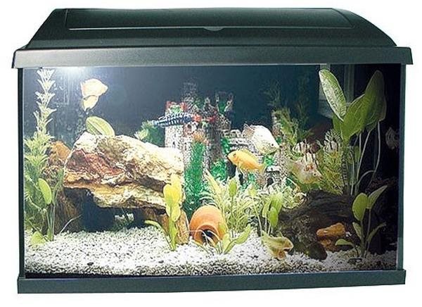Pacific 50 akvárium s výbavou 37,5 l 50 × 25 × 30 cm 15 W Eco...