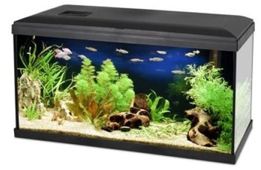 Pacific 80 akvárium s výbavou 96 l 80 × 30 × 40 18 W Akváriový set