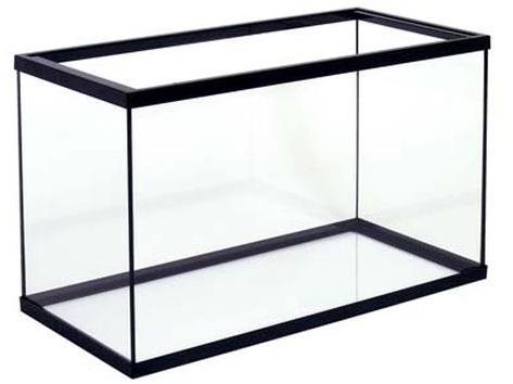 Cobbys Pet Scalaire 30 30 × 15 × 20 cm 9 l Akvárium