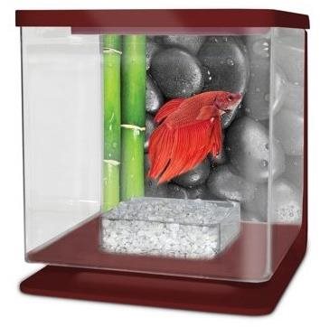 CAT GATO Betarium Betta kit stones 2 l Akváriový set