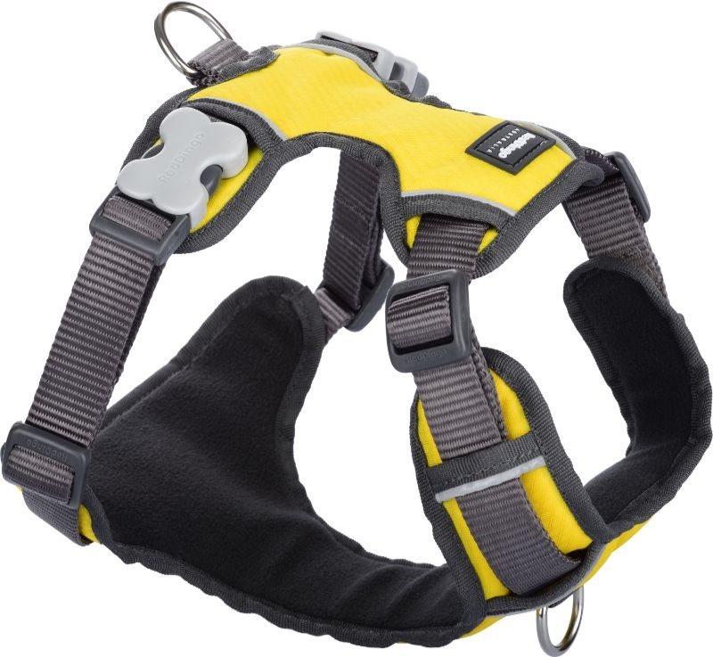 Red Dingo Postroj vystužený žltý XS 31 – 43 cm Postroj