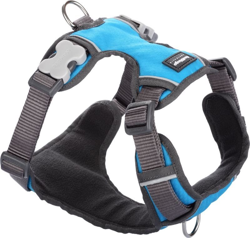 Red Dingo Postroj vystužený tyrkysový S 37 – 52 cm Postroj