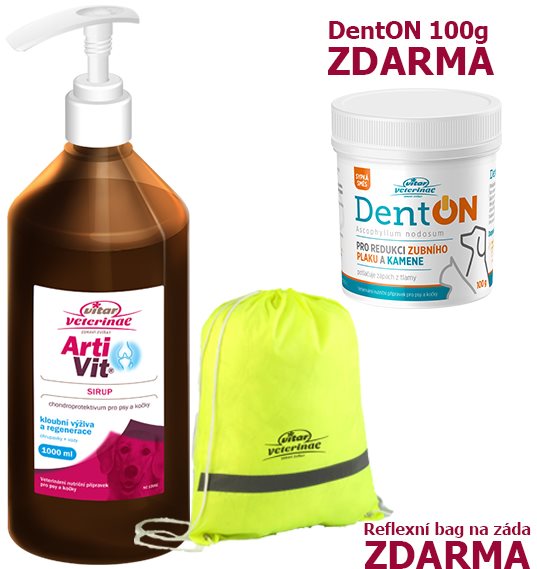 Vitar Veterinae Artivit - Sirup, 1 000 ml + Zadarmo DentOn 100 g +...