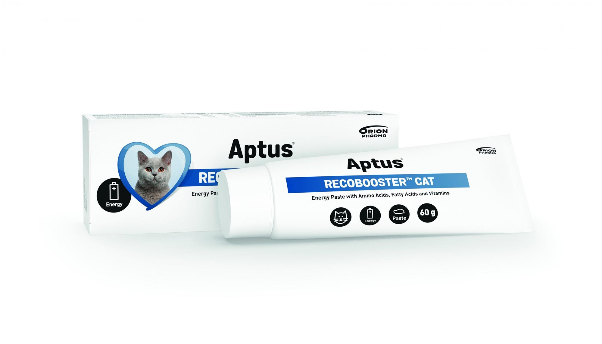 Aptus Reconvalescent Cat - Pasta, 60 g Doplnok stravy pre mačky