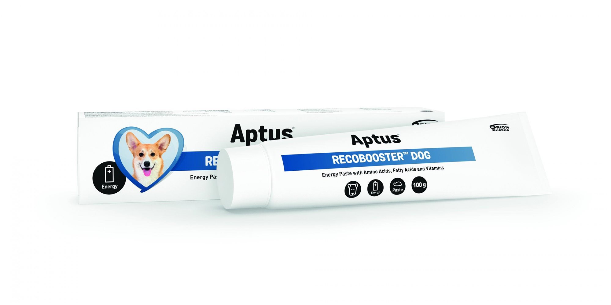 Aptus Recobooster Dog 100 g Doplnok stravy pre psov