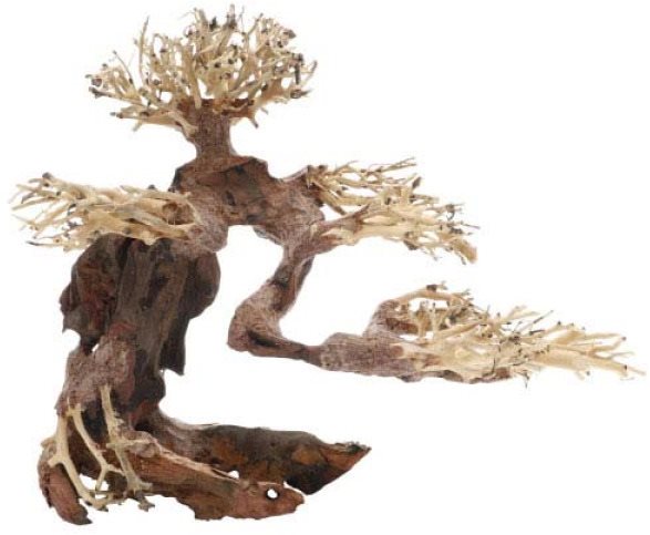Dupla Bonsai M prírodná drevená dekorácia 30 × 15 × 23 cm Dekorácia...