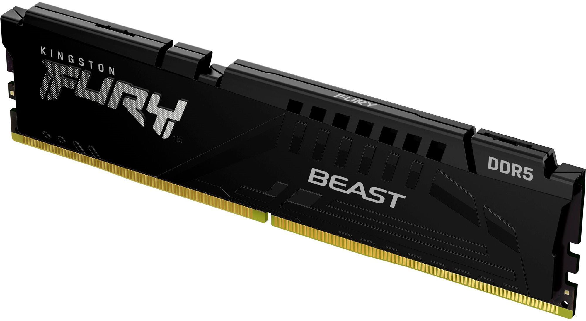 Kingston FURY 16 GB DDR5 4800 MHz CL38 Beast Black Arbeitsspeicher