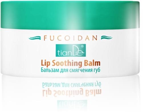 TIANDE Fucoidan Zjemňujúci balzam na pery 10 g Balzam na pery
