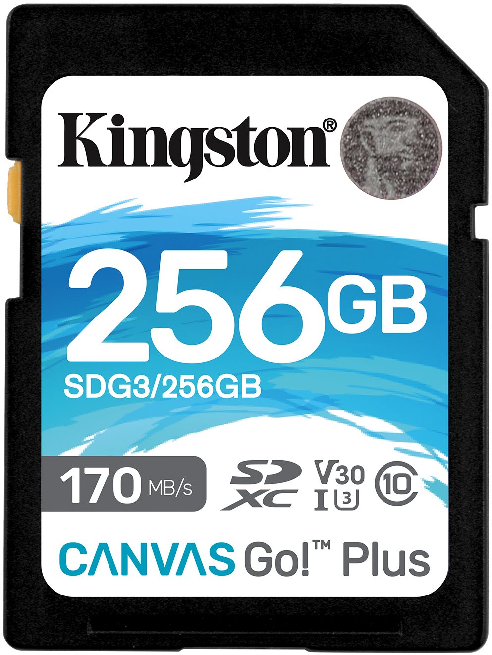 Kingston Canvas Go! Plus SDXC 256GB Memory Card