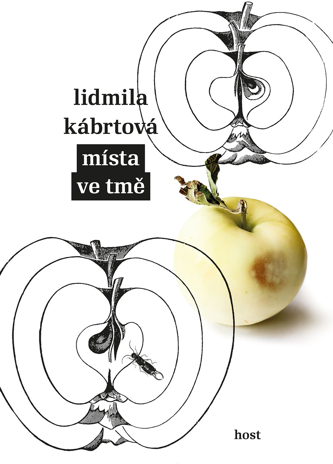 Místa ve tmě [E-kniha] - Lidmila Kábrtová