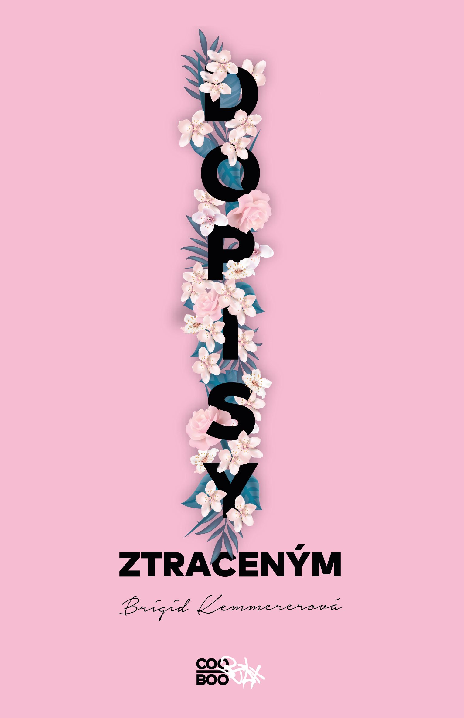 Dopisy ztraceným [E-kniha] - Brigid Kemmererová