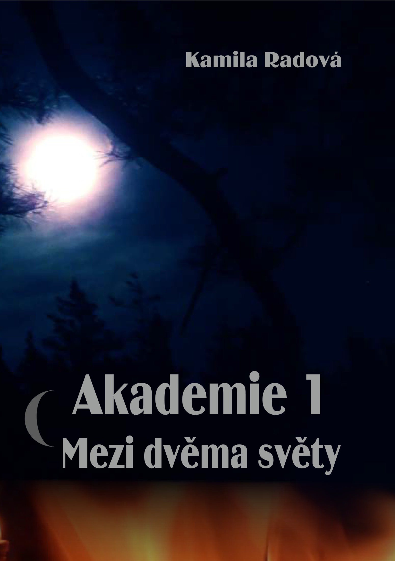 Akademie 1 [E-kniha] - Kamila Radová