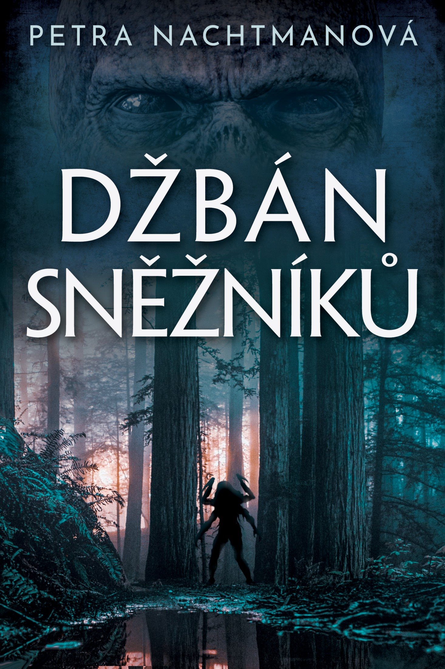 Džbán Sněžníků [E-kniha] - Petra Nachtmanová