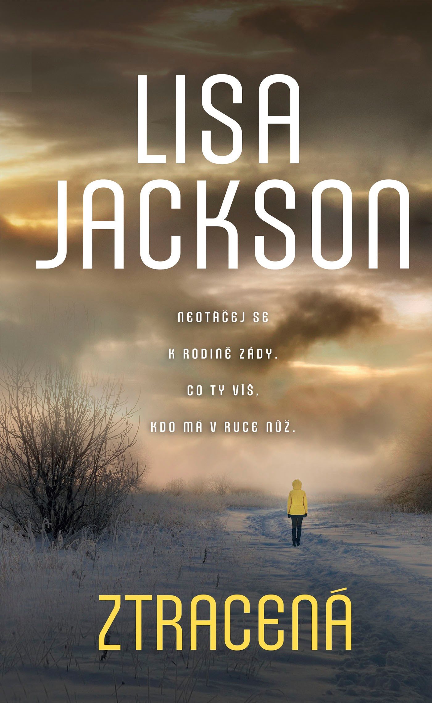 Ztracená [E-kniha] - Lisa Jackson