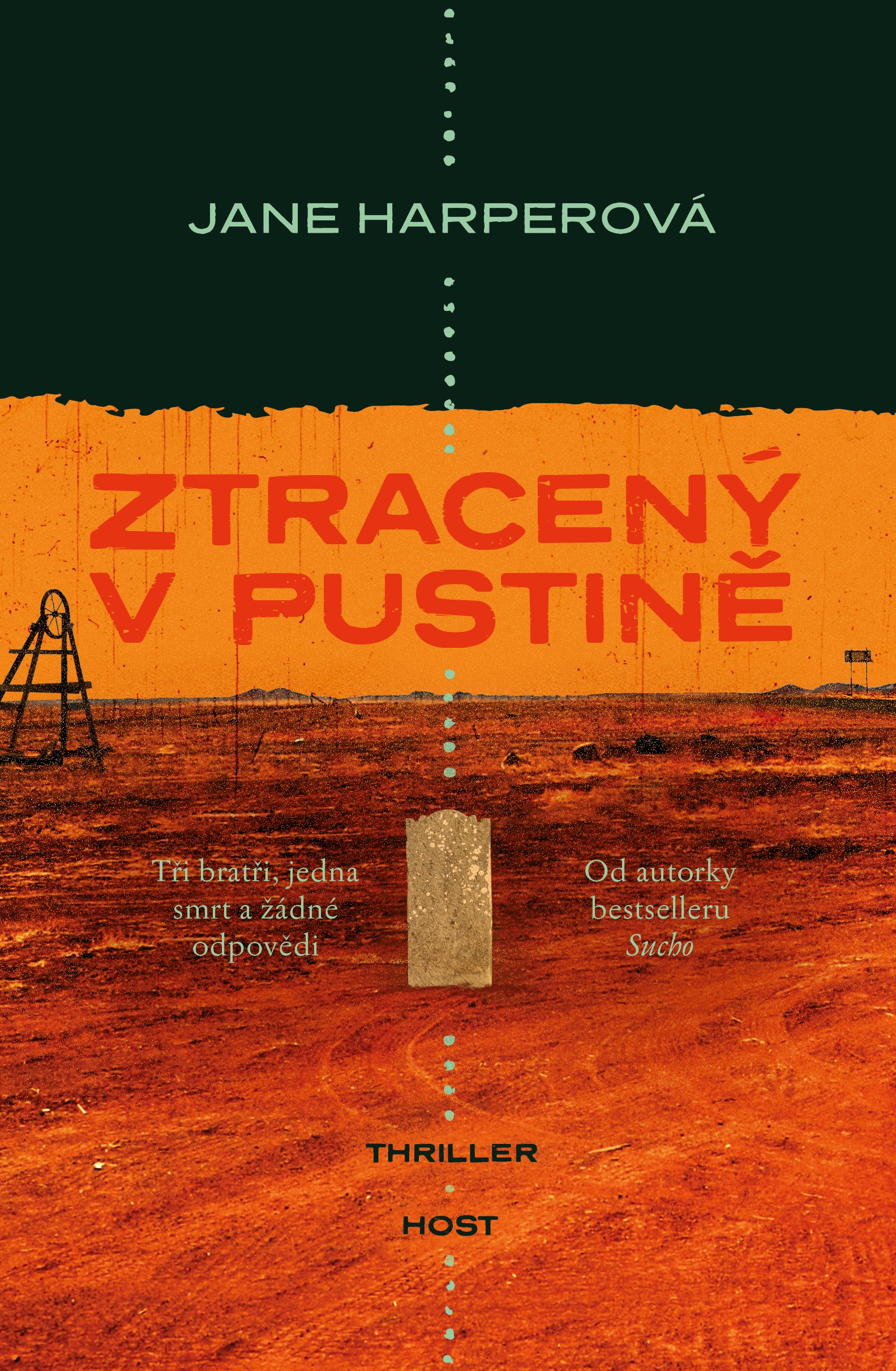 Ztracený v pustině [E-kniha] - Jane Harperová