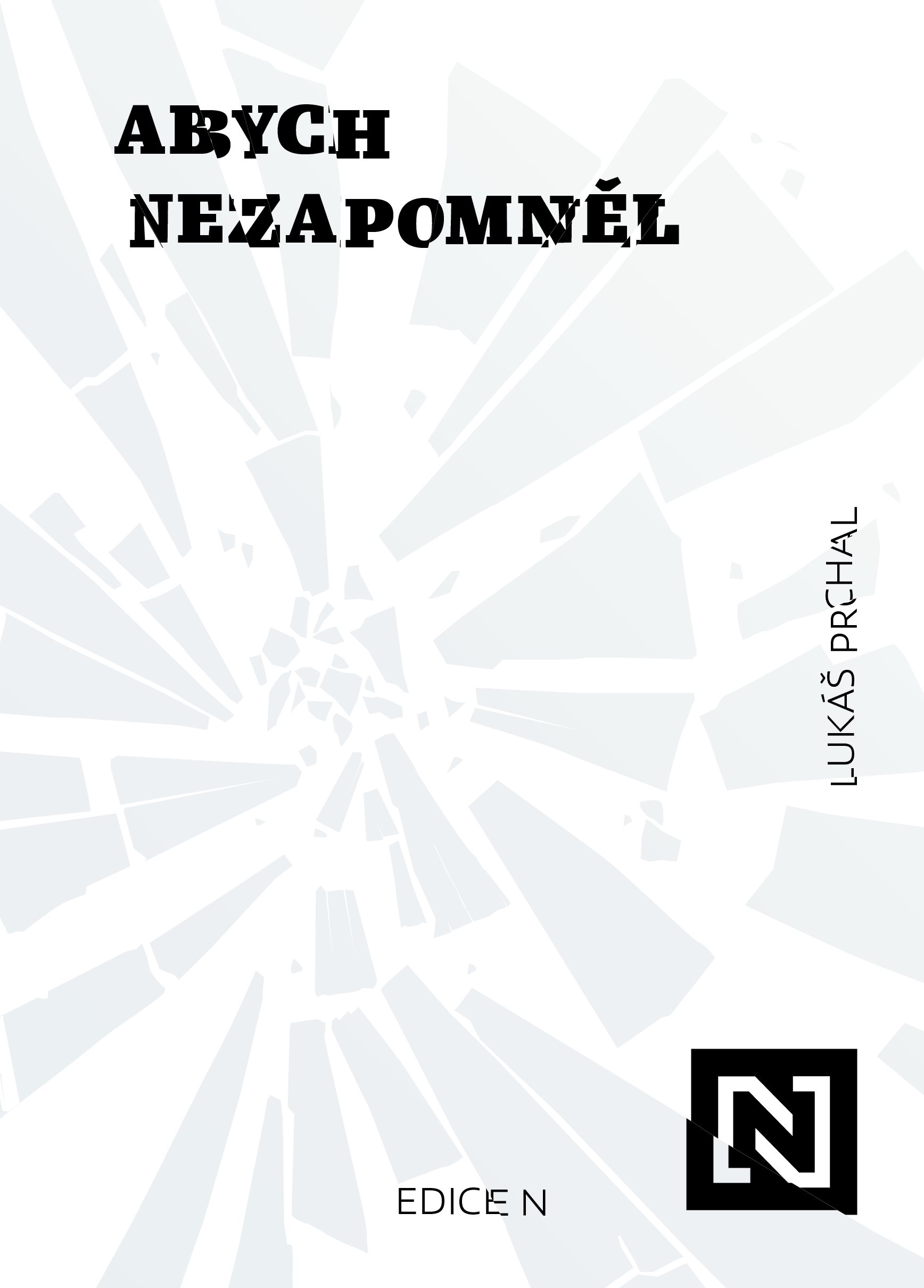 Abych nezapomněl [E-kniha] - Lukáš Prchal