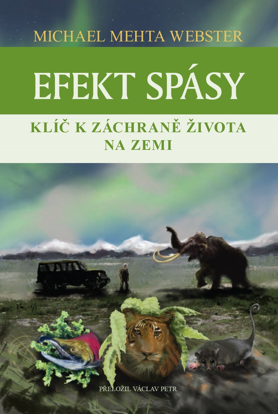 Efekt spásy [E-kniha] - Michael Mehta Webster