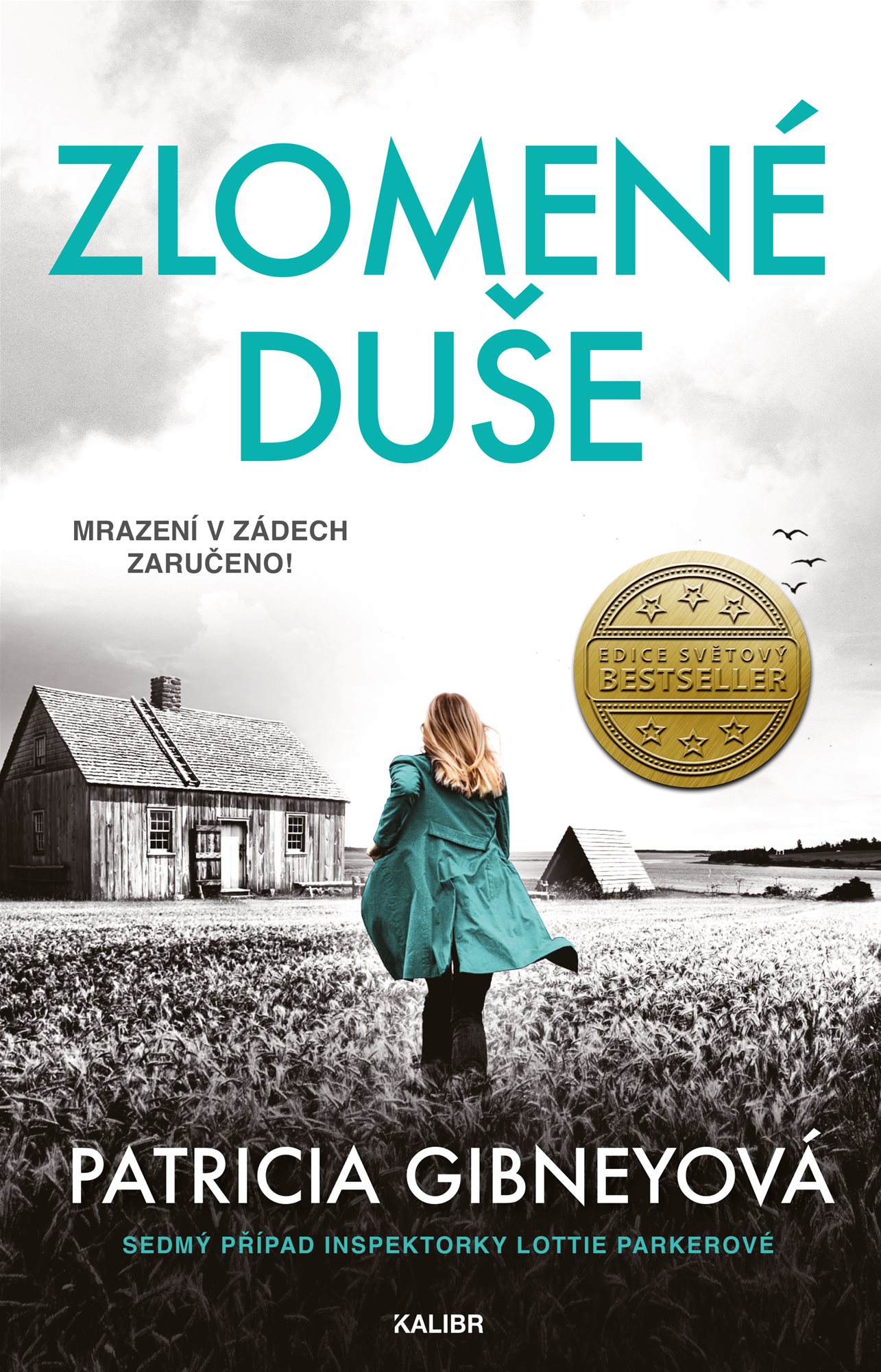 Zlomené duše [E-kniha] - Patricia Gibney