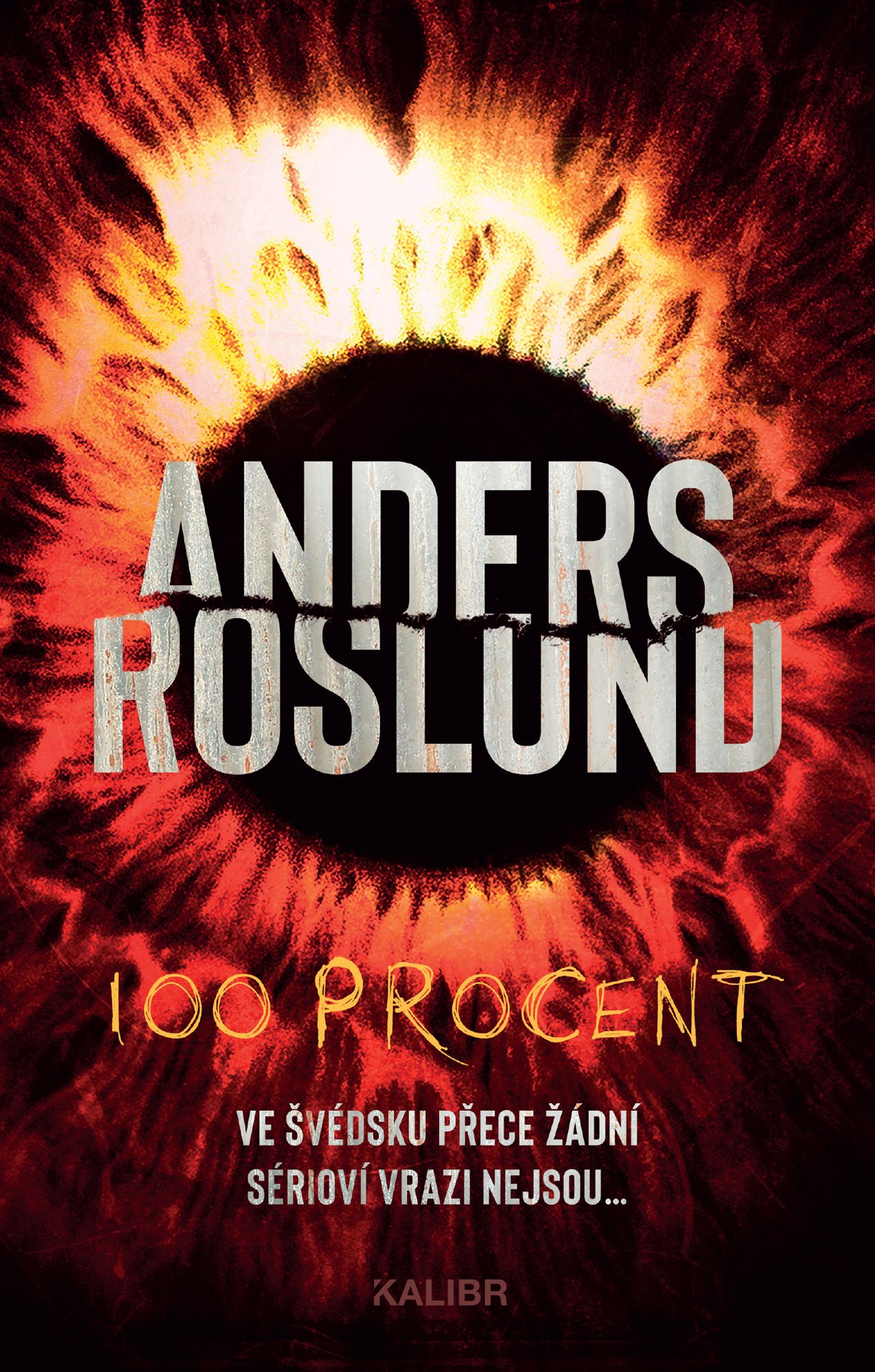 100 procent [E-kniha] - Anders Roslund