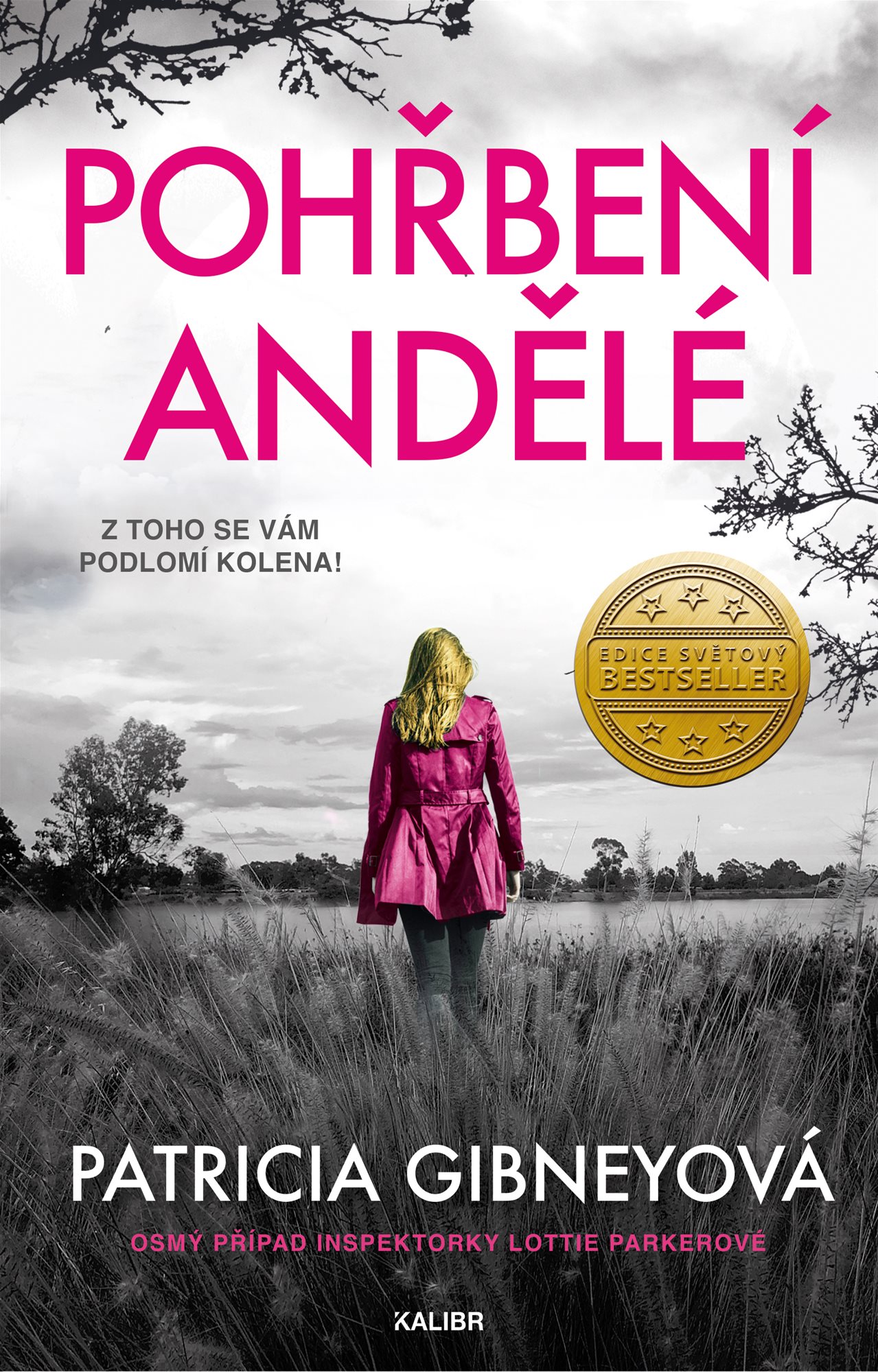 Pohřbení andělé [E-kniha] - Patricia Gibney