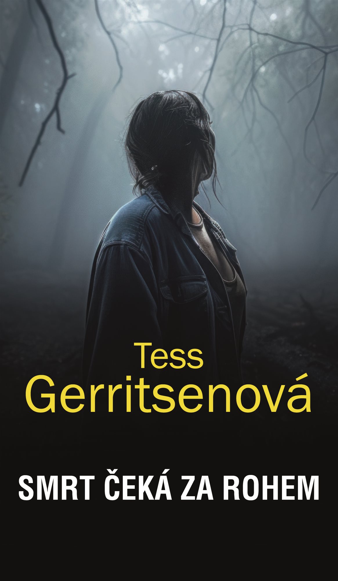 Smrt čeká za rohem [E-kniha] - Tess Gerritsenová