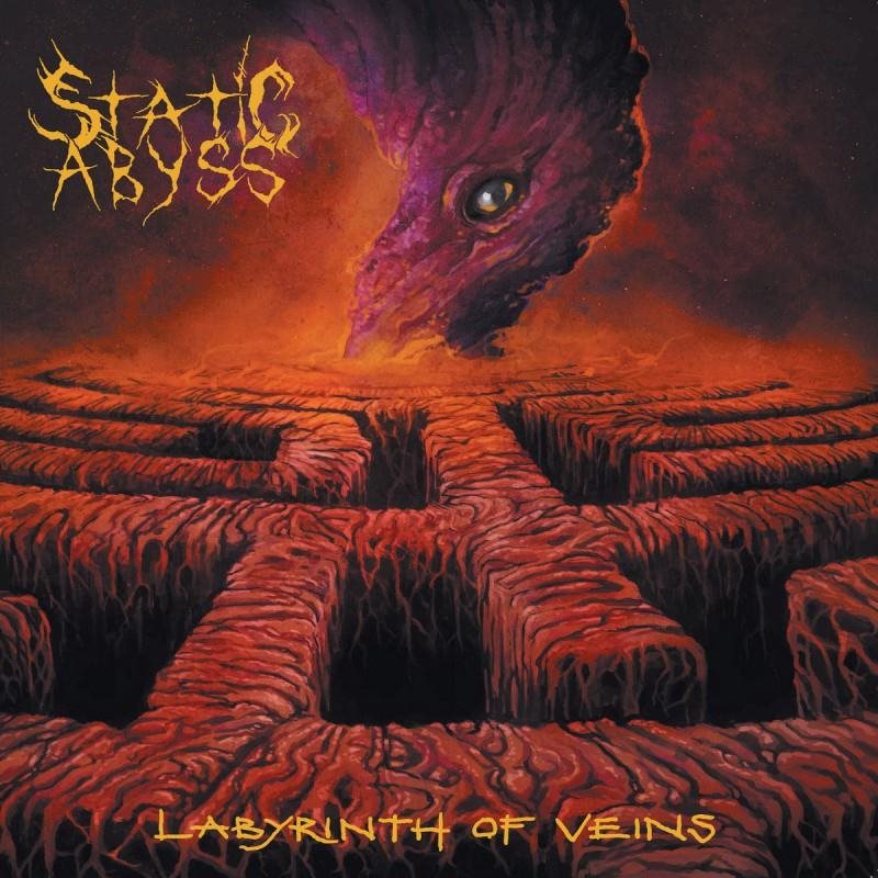 Static Abyss: Labyrinth Of Veins - CD Hudební CD