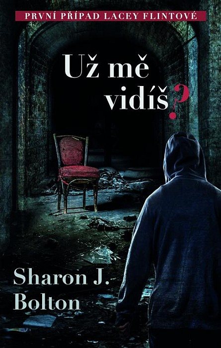 Už mě vidíš? [Kniha] - S.J. Bolton