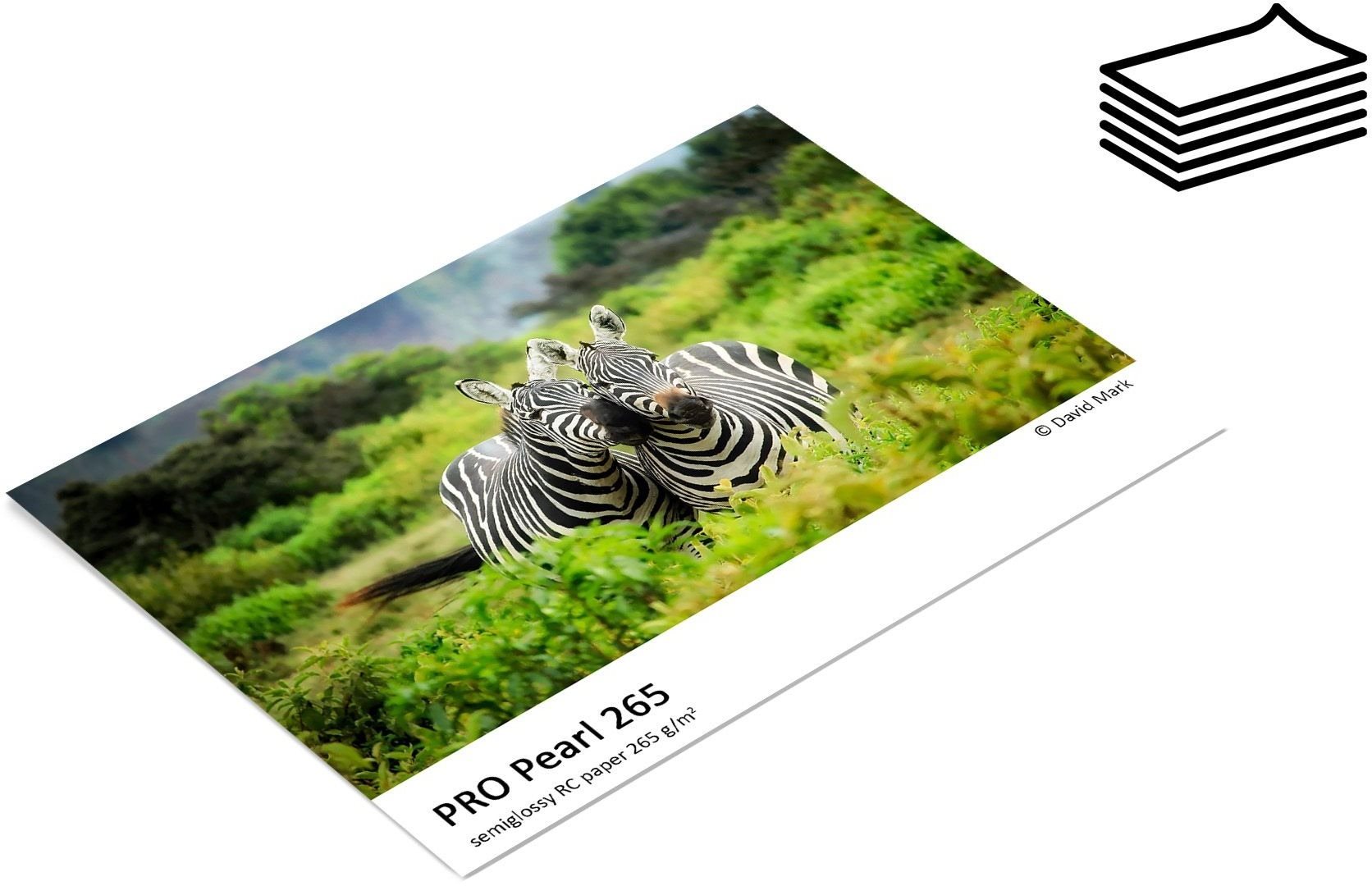 FOMEI PRO Pearl 265 A3 (29.7 x 42cm)/50 Fotopapier