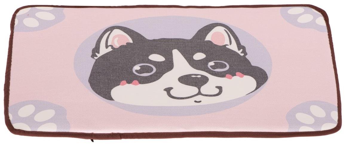 KIK Podložka pre psa alebo mačku 60 x 38 cm Pelech