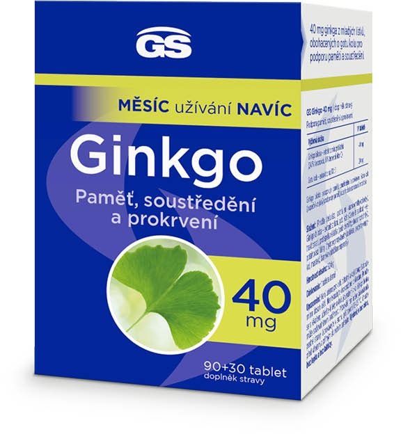 GS Ginkgo 40 mg, 90+30 tablet Ginkgo Biloba