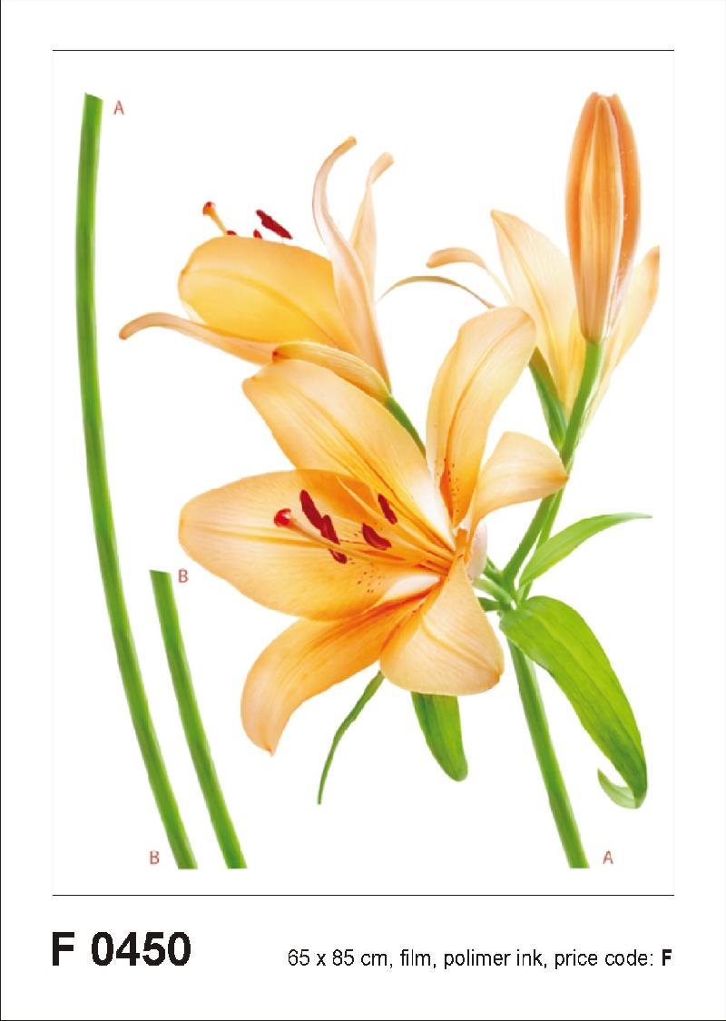 F0450 Samolepiaca dekorácia LILY ORANGE 65 × 85 cm Samolepiaca...