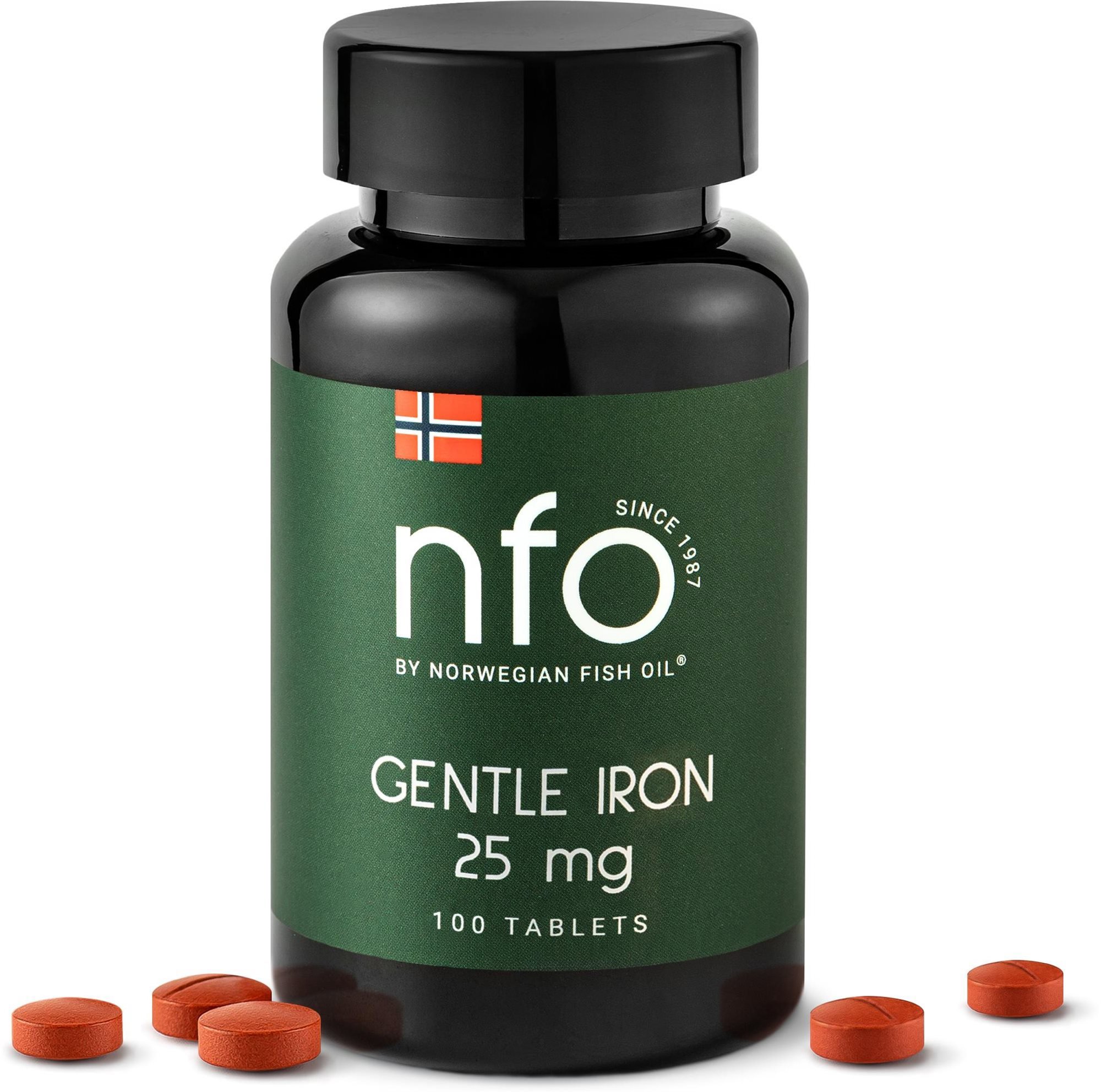 NFO Gentle Iron [100 tablet] Železo