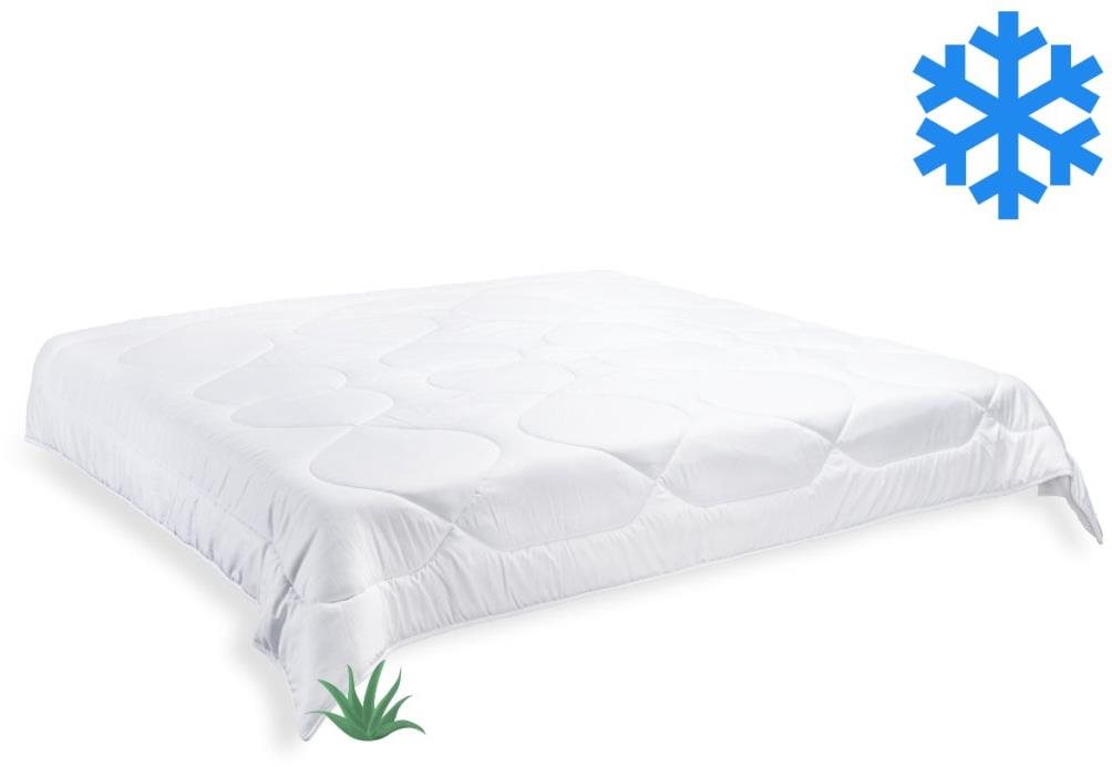Brotex Francúzska prikrývka Aloe Vera zimná 220 × 200 cm 1980 g...