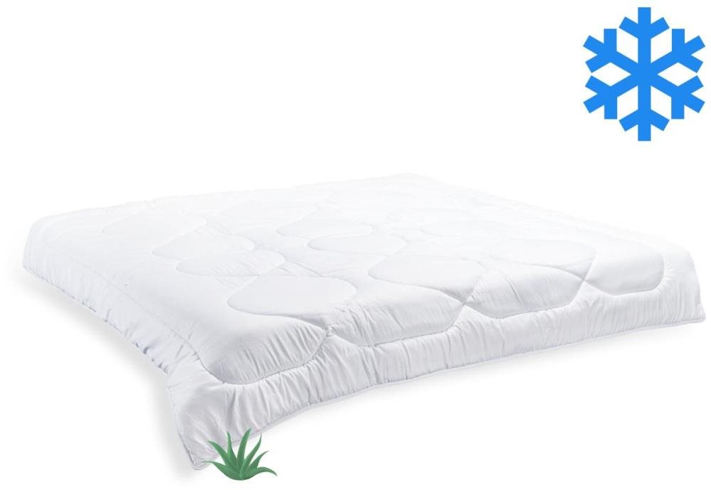 Brotex Francúzska prikrývka Aloe Vera zimná 200 × 200 cm 1800 g...